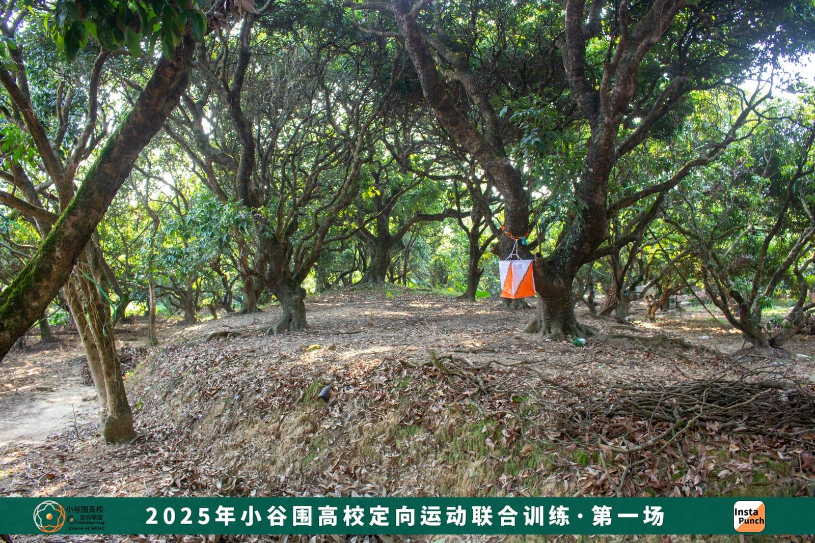 小谷围团队与下一代组织者